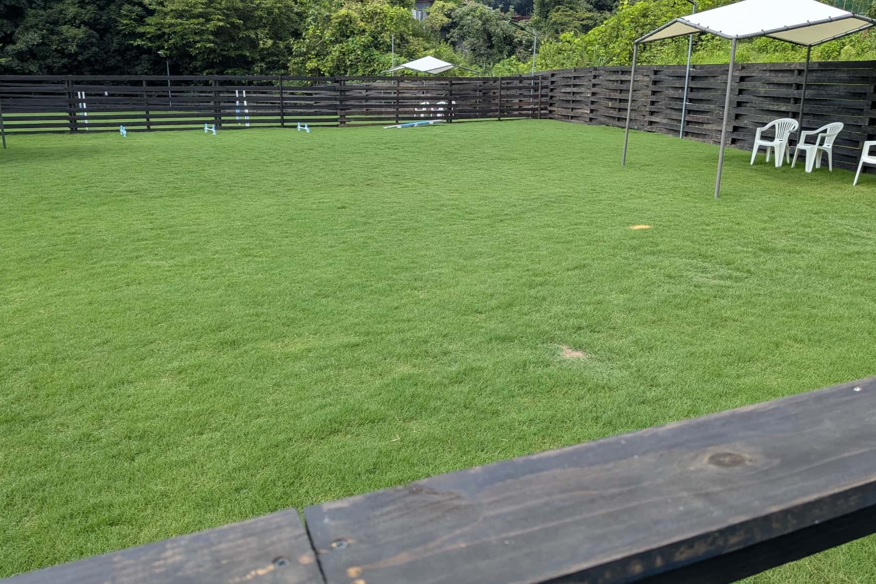 小型犬ドッグラン