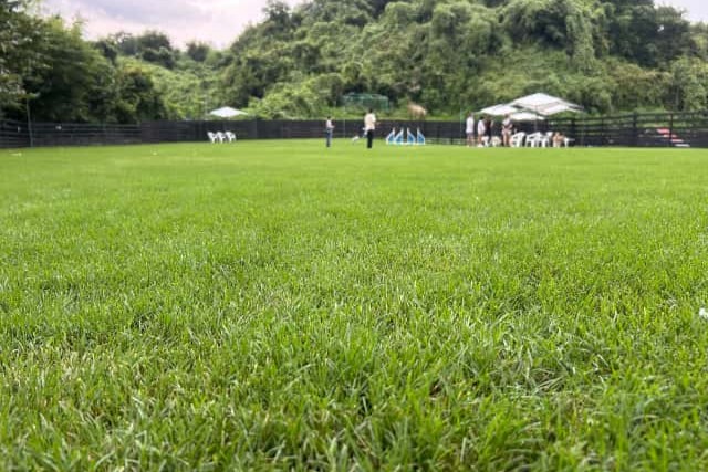 大型犬ドッグラン